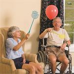 Hand-Shaped Fly Swatters (pack of 24)