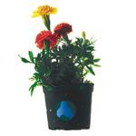 EduCraft� Authentic Flower Garden Craft Kit  (makes 50)