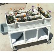 Garden Therapy Cart