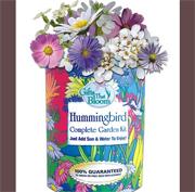 Garden Visitor Gift Set (set of 3)