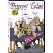 Puppy Tales Ambient DVD