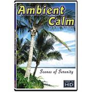 Ambient Calm DVD