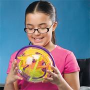 Perplexus Maze Ball