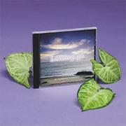 Letting Go CD