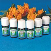Reminiscing Essential Oil (set of 6)