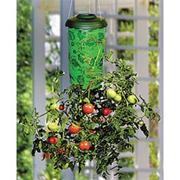 Topsy Turvy Tomato Planter