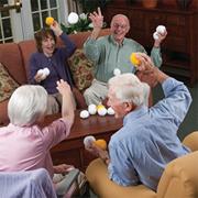Snow Ballitz� Game