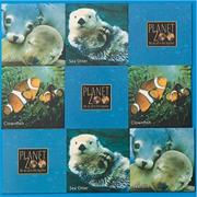 Ocean Dream Matching Game