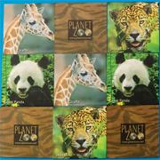 International Wildlife Matching Game