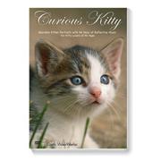 Curious Kitty DVD