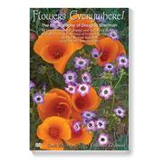 Flowers Everywhere DVD