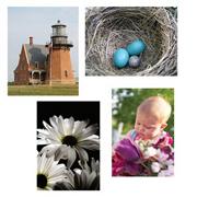 Thera-Jigsaw� Foam Puzzles, Set A - 4 Asst. Designs (set of 4)