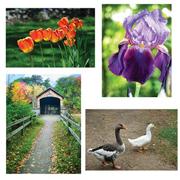 Thera-Jigsaw� Foam Puzzles, Set B - 4 Asst. Designs (set of 4)