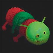 Flashing Rainbow Caterpillar