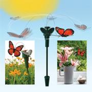 Solar Butterfly