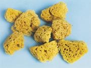 Sea Sponges  (pack of 8)
