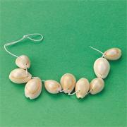 Shell Beads  (bag of 50)