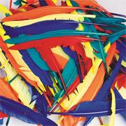 Quill Feathers  (pack of 144)