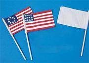 Color-Me� Blank Flags and Dowels  (pack of 12)