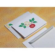 Allen Diagnostic Module Greeting Cards  (pack of 12)
