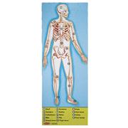 Melissa & Doug� Human Body Floor Puzzle