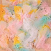 Pastel Feathers, 14g