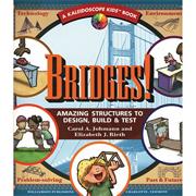 Bridges! Amazing Structures to Design, Build and Test Book