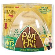 Anthill with coupon for live ants
