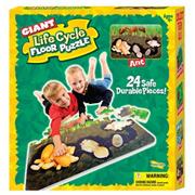 More info about Ant Life Cycle Puzzle Ant Life Cycle Puzzle