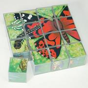 More info about 6-Sided Bug Puzzle 6-Sided Bug Puzzle