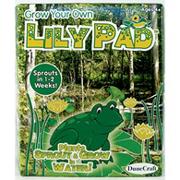 Grow Your Own Lily Pad Science Kit