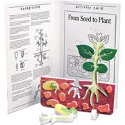 Book and Model From Seed to Plant
