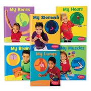 Your Body Hardcover Books (set of 6)
