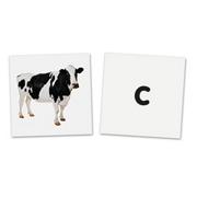 More info about Double-Sided Magnetic Letters Set (set of 26) Double-Sided Magnetic Letters Set (set of 26)