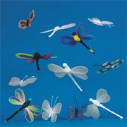 Color-Me� Dragonfly and Butterfly (pack of 36)
