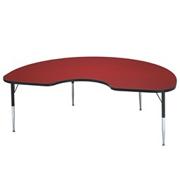 48"x72" Kidney Activity Table, 15-24"H
