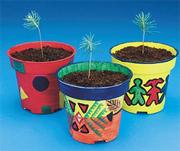 More info about EduCraft® Scholastic Pine Tree Planters Craft Kit (makes 50) EduCraft® Scholastic Pine Tree Planters Craft Kit (makes 50)