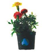 More info about EduCraft® Authentic Flower Garden Craft Kit (makes 50) EduCraft® Authentic Flower Garden Craft Kit (makes 50)