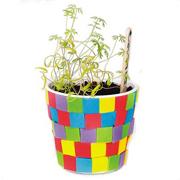 Herb Garden Craft Kit  (makes 48)