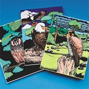 Color-Me� Birds of Prey Craft Kit (makes 12)