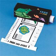 Frog Life Cycle Measure 'N Learn Craft Kit (makes 12)