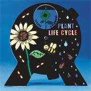 More info about Color-Me™ Plant Life Cycle Spin 'N Learn™ Craft Kit (makes 12) Color-Me™ Plant Life Cycle Spin 'N Learn™ Craft Kit (makes 12)