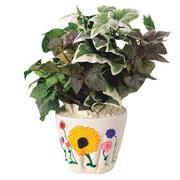 Color-Me� Flower Pot Cover Craft Kit  (makes 12)