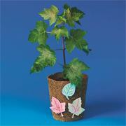 Maple Tree Craft Kit (makes 12)