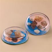Seashell Paperweight Craft Kit (makes 12)