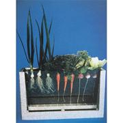 Root-Vue Farm�