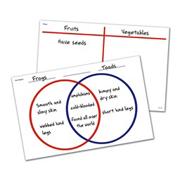 Venn Diagram/T-Chart (set of 30)