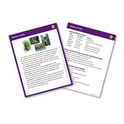 Reading Fluency Card Set, Grade 6