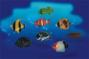 Fish Counters  (set of 60)