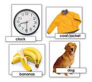 Basic Vocabulary Skills Cards